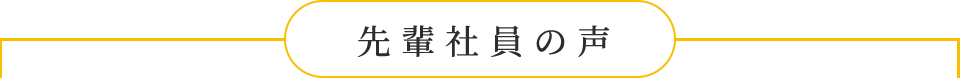 先輩社員の声